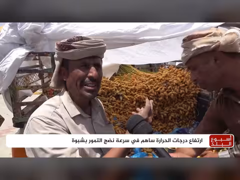 تأثير ارتفاع درجات الحرارة على أسعار التمور في شبوة