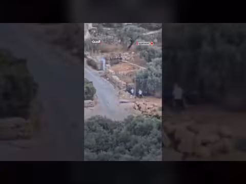 مستوطنون يسرقون ثمار الزيتون من قرية دير أبو مشعل برام الله