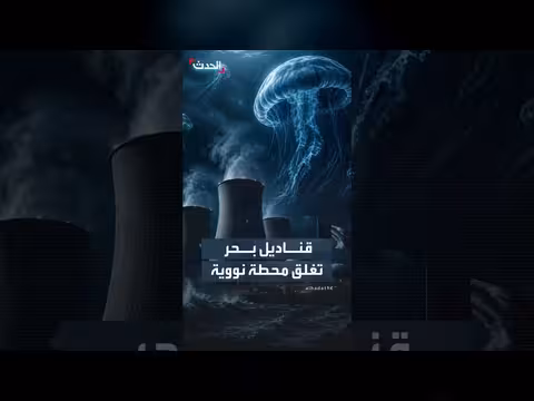 قناديل البحر تعطل ثلاثة مفاعلات نووية شمال فرنسا وتخفض إنتاج رابع