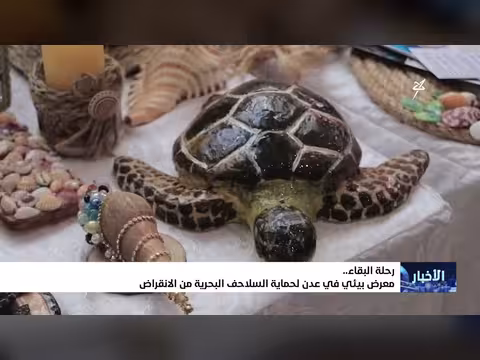 رحلة البقاء.. معرض بيئي في عدن لحماية السلاحف البحرية من الانقراض