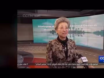 التعاون الاقتصادي بين الصين والإمارات يحقق تقدماً في 2025