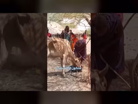 برنامج الأغذية العالمي يحذر: ظاهرة النينيو قد تدفع خمسين مليوناً للجوع