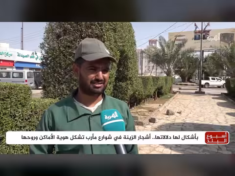 مبدعون في مأرب يشكلون أشجار الزينة على هوية الأماكن