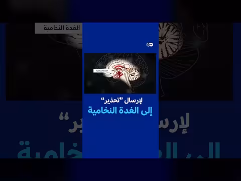 ماذا يحدث في دماغك لحظة الخطر