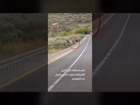 مستوطنون يواصلون سرقة ثمار الزيتون في خان اللبن الشرقية جنوب نابلس