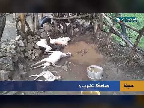 صاعقة تدمر كل شيء! قصة مؤلمة لامرأة