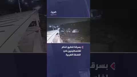 جنود إسرائيليون يسرقون قطيع أغنام فلسطينيين
