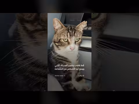 قط غاضب يمنع زبون من استخدام الصراف الآلي