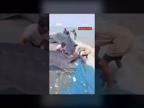 صيادون في عُمان يحررون قرش حوت عالق في شباكهم