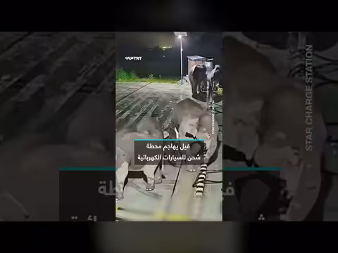 فيل يهاجم محطة شحن كهربائية في حادث غير مسبوق