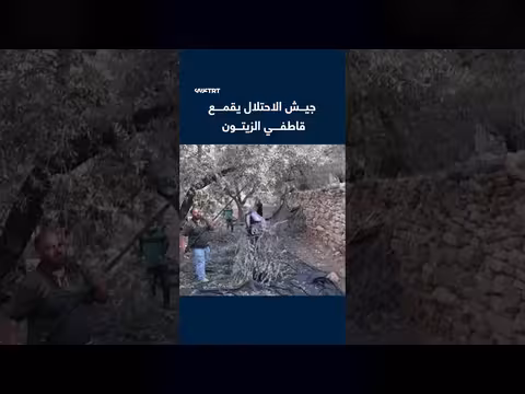 جيش الاحتلال والمستوطنون يعتدون على قاطفي الزيتون بالضفة الغربية