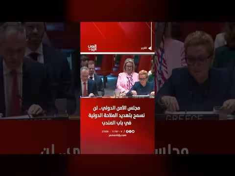 مجلس الأمن الدولي: لن نسمح بتهديد الملاحة في باب المندب