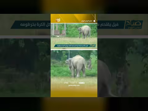 فيل يشارك في مباراة كرة قدم بالهند ويسرق الأضواء بحقيبته