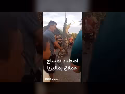 اصطياد تمساح عملاق بطول 5 أمتار في ماليزيا