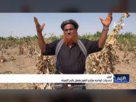 تحديات مزارعي الموز في أبين بسبب شح المياه