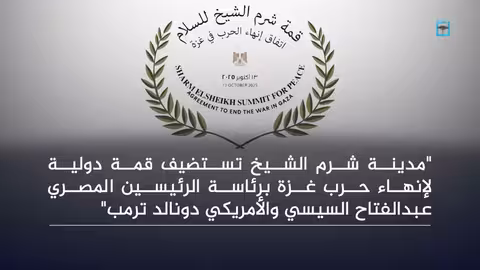 قمة مصرية مرتقبة في شرم الشيخ لبحث إنهاء الحرب في غزة