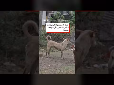 رجل يرتدي قناع كلب يشارك في احتجاج بمجلس محلي هندي