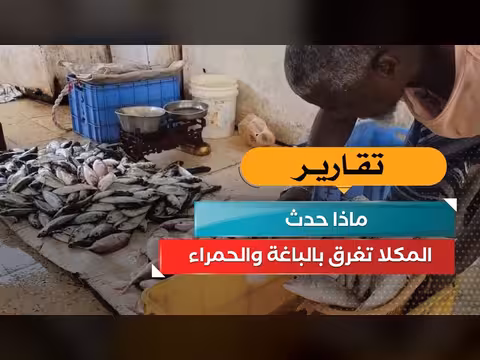 المكلا تغرق بالباغة والحمراء.. ماذا حدث؟