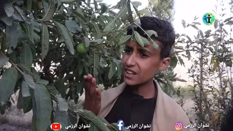 أرض الأمل: الشيخ يعلم الرعية درساً قاسياً في الزراعة