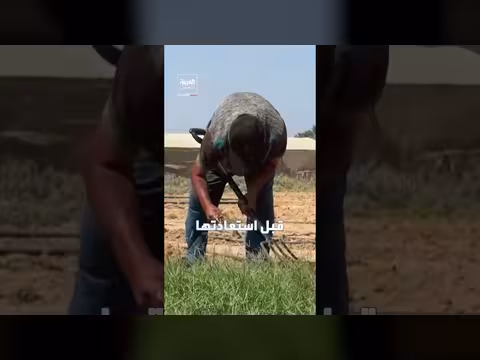 بنك بذور القرارة يحمي إرث غزة الزراعي