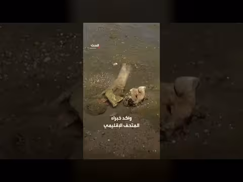 انخفاض تاريخي في نهر الدانوب يكشف بقايا ماموث عمرها آلاف السنين