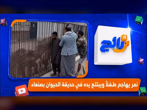 نمر يهاجم طفلاً ويبتلع يده في حديقة الحيوان بصنعاء