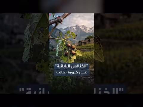خنافس يابانية تهدد كروما تاريخية في إيطاليا