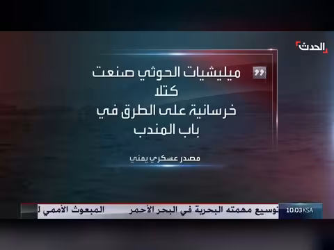 القوات اليمنية تكمل تطهير باب المندب وتسيطر على جزيرة ميون