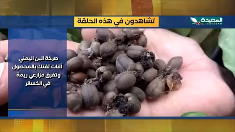 صدى الأسبوع: أبرز أحداث اليمن (19 - 12 - 2025)