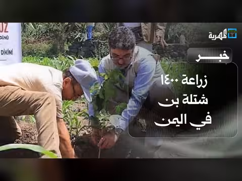 زراعة 1400 شتلة بن في اليمن من قبل وكالة تيكا التركية