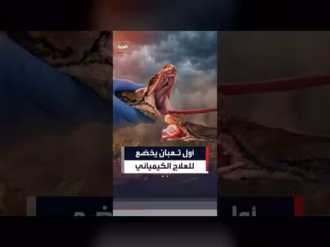أول ثعبان يتعافى من السرطان بعد علاج كيميائي كهربائي في بريطانيا