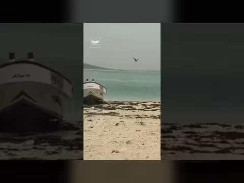 مشاهد خاصة ترصد الحركة في باب المندب