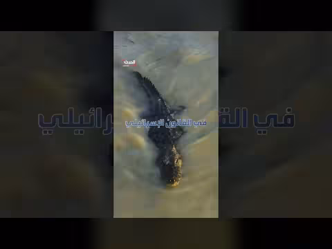 إسرائيل تبدأ تنفيذ سجن محاط بالتماسيح في صحراء النقب
