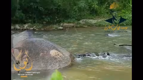 هيمان ايوب طارش