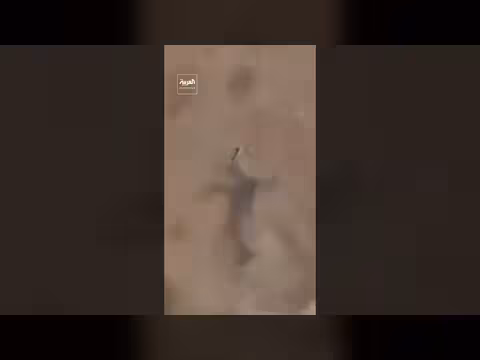 القوات المسلحة اليمنية تنشر مقاطع جديدة لاستهداف الحوثية بالطيران المسيّر
