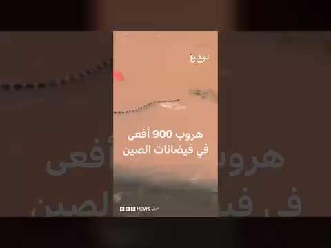 هروب 900 أفعى في فيضانات الصين