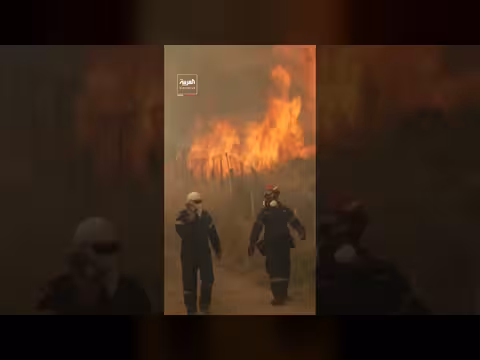 حرائق الغابات تجتاح مناطق من أوروبا مع ارتفاع درجات الحرارة