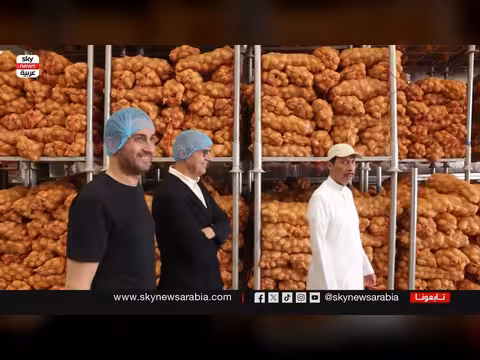 إنتاج بطاطا بيبسيكو في السعودية محلياً بعد 75 عاماً من الاعتماد على الاستيراد