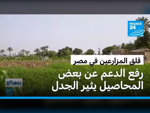 تأثير تقليص الدعم الحكومي على مزارعي الفاكهة في مصر