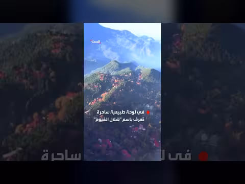 شلال الغيوم ظاهرة طبيعية ساحرة فوق جبال لوشان في الصين