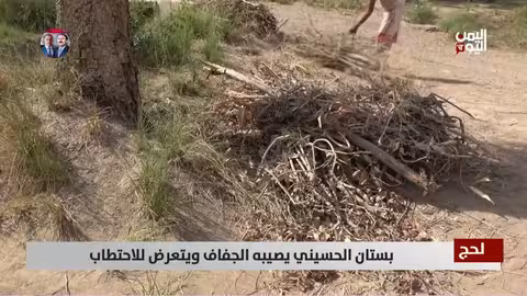 جفاف واحتطاب يهددان بستان الحسيني التاريخي في لحج