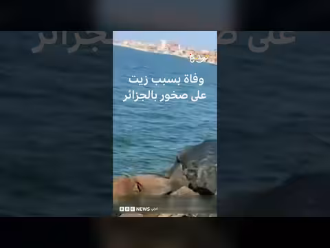 وفاة شخص بالجزائر بسبب سكب زيت على صخور الشاطئ