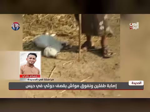 قصف حوثي في حيس بالحديدة يوقع طفلين ونفوق مواش