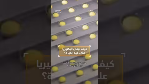 كيف تبقى البكتيريا على قيد الحياة؟ وثائقيات، shorts