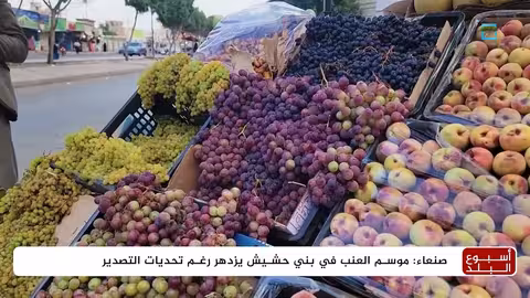 ازدهار عنب بني حشيش اليمني وتحديات التسويق