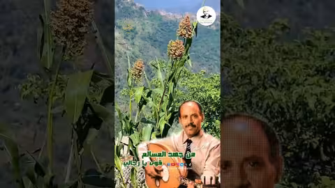 أيوب طارش: وصلة غنائية يمنية أصيلة