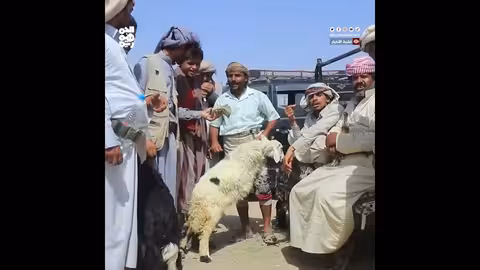 الحوثيون يفرضون أتاوات على تجار المواشي في الحديدة والمحويت وإب