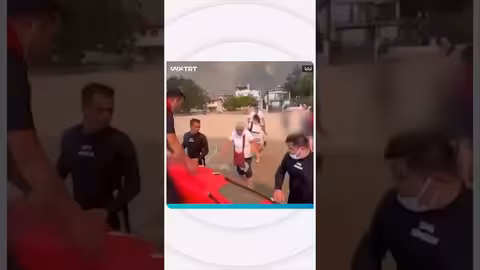 إنقاذ 348 شخصاً من حرائق الغابات