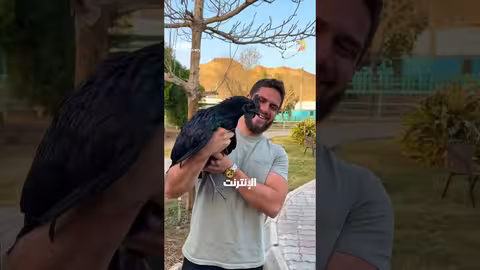 دجاجة أيام سيماني النادرة: أغرب وأغلى دجاجة في العالم