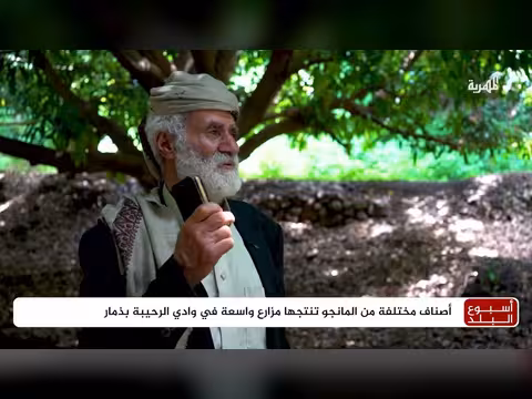مزارع واسعة في وادي الرحيبة بذمار تنتج أصنافاً مختلفة من المانجو